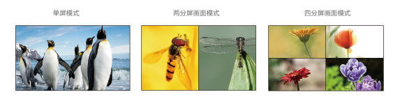 1603347592856013.jpg 九畫面1.jpg